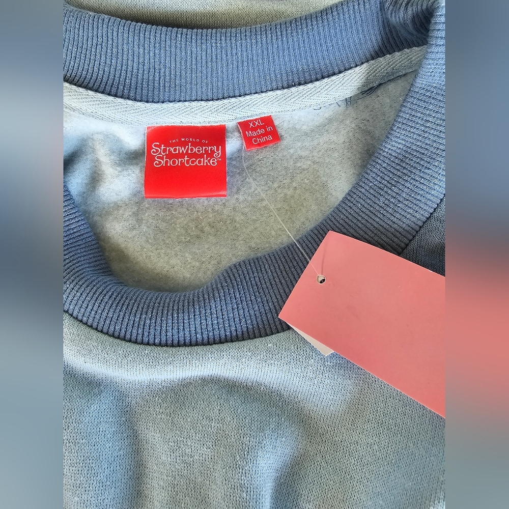 Strawberry Shortcake Cropped Fleece Graphic Sweatshirt -Striped Light Blue - Picture 10 of 12